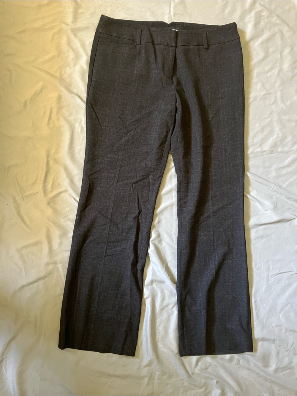 Amanda & Chelsea Straight Leg Dress Pants in Charcoal